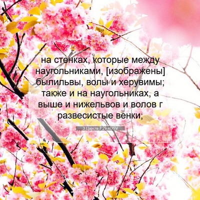 Picture 07 - 3 Царств 7:29 RUSV - на стенках, которые между - Bible Verse Picture