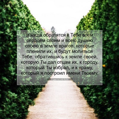 Picture 07 - 3 Царств 8:48 RUSV - и когда обратятся к Тебе - Bible Verse Picture