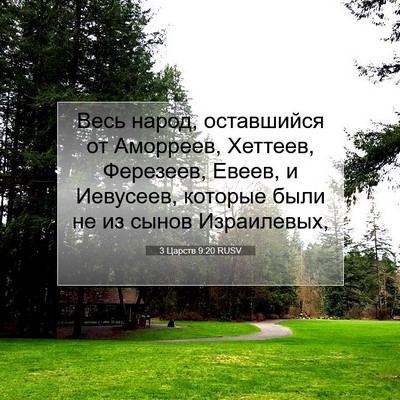 Picture 07 - 3 Царств 9:20 RUSV - Весь народ, оставшийся от - Bible Verse Picture