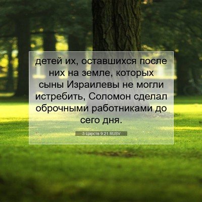 Picture 07 - 3 Царств 9:21 RUSV - детей их, оставшихся после - Bible Verse Picture