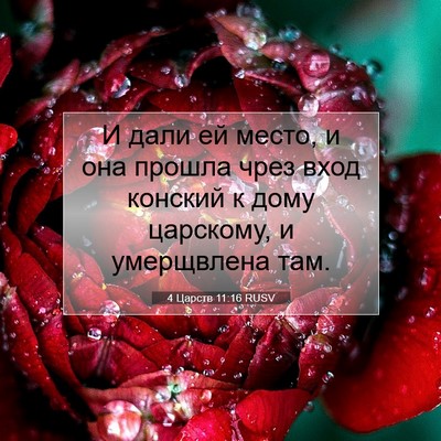 Picture 07 - 4 Царств 11:16 RUSV - И дали ей место, и она - Bible Verse Picture