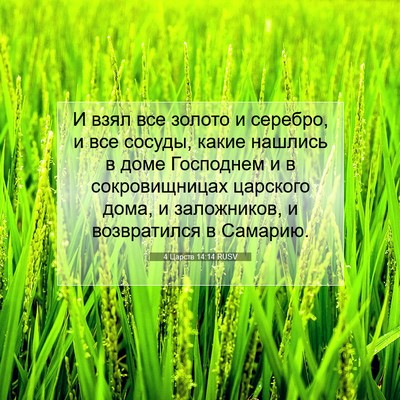 Picture 07 - 4 Царств 14:14 RUSV - И взял все золото и - Bible Verse Picture