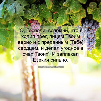 Picture 07 - 4 Царств 20:3 RUSV - 'О, Господи! вспомни, что я - Bible Verse Picture