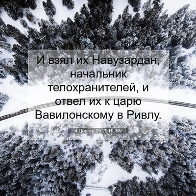 Picture 07 - 4 Царств 25:20 RUSV - И взял их Навузардан, - Bible Verse Picture