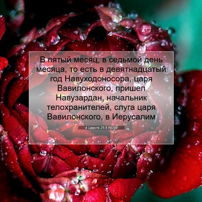 Picture 07 - 4 Царств 25:8 RUSV - В пятый месяц, в седьмой - Bible Verse Picture