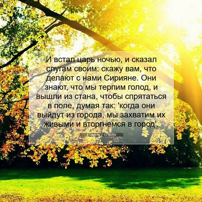 Picture 07 - 4 Царств 7:12 RUSV - И встал царь ночью, и - Bible Verse Picture