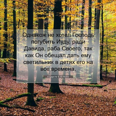 Picture 07 - 4 Царств 8:19 RUSV - Однакож не хотел Господь - Bible Verse Picture