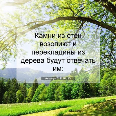 Picture 07 - Аввакум 2:11 RUSV - Камни из стен возопиют и - Bible Verse Picture