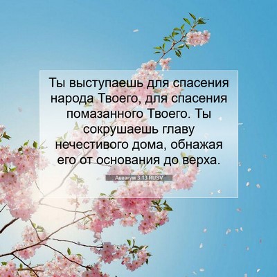 Picture 07 - Аввакум 3:13 RUSV - Ты выступаешь для спасения - Bible Verse Picture