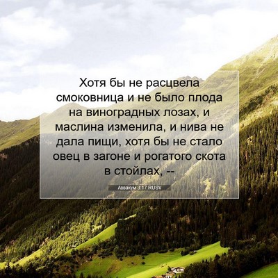 Picture 07 - Аввакум 3:17 RUSV - Хотя бы не расцвела - Bible Verse Picture