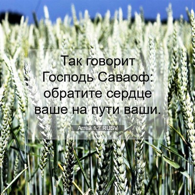Picture 07 - Аггей 1:7 RUSV - Так говорит Господь - Bible Verse Picture