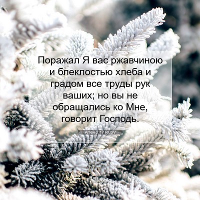 Picture 07 - Аггей 2:17 RUSV - Поражал Я вас ржавчиною и - Bible Verse Picture