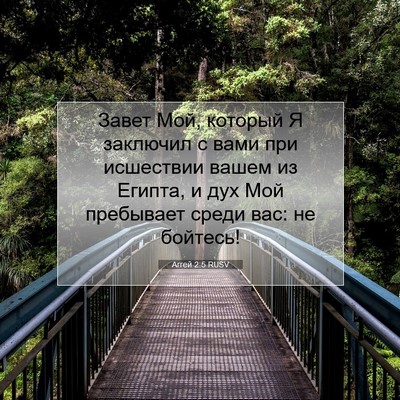 Picture 07 - Аггей 2:5 RUSV - Завет Мой, который Я - Bible Verse Picture
