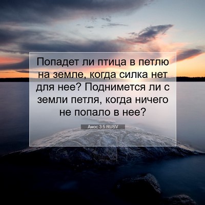 Picture 07 - Амос 3:5 RUSV - Попадет ли птица в петлю на - Bible Verse Picture