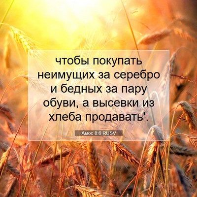 Picture 07 - Амос 8:6 RUSV - чтобы покупать неимущих за - Bible Verse Picture