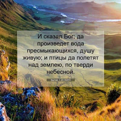 Picture 07 - Бытие 1:20 RUSV - И сказал Бог: да произведет - Bible Verse Picture