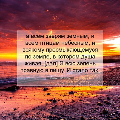 Picture 07 - Бытие 1:30 RUSV - а всем зверям земным, и - Bible Verse Picture