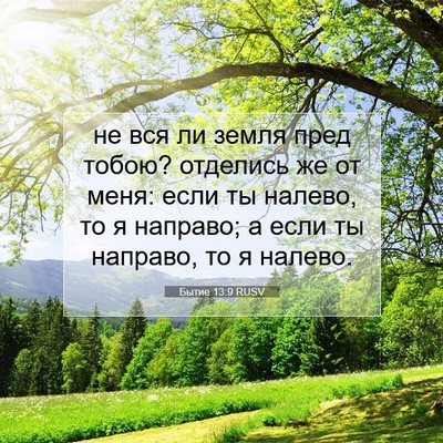 Picture 07 - Бытие 13:9 RUSV - не вся ли земля пред тобою? - Bible Verse Picture