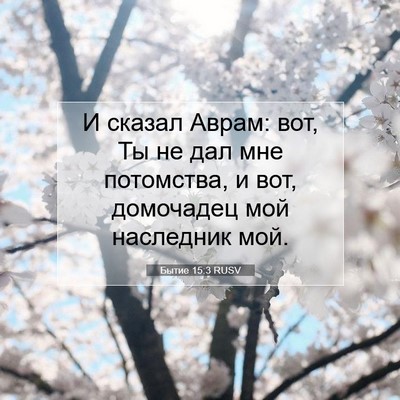 Picture 07 - Бытие 15:3 RUSV - И сказал Аврам: вот, Ты не - Bible Verse Picture