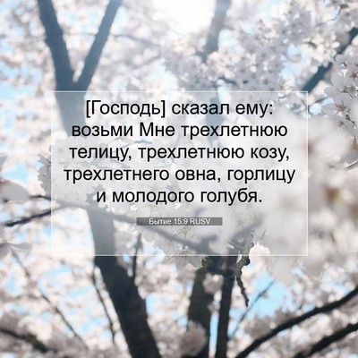 Picture 07 - Бытие 15:9 RUSV - [Господь] сказал ему: - Bible Verse Picture