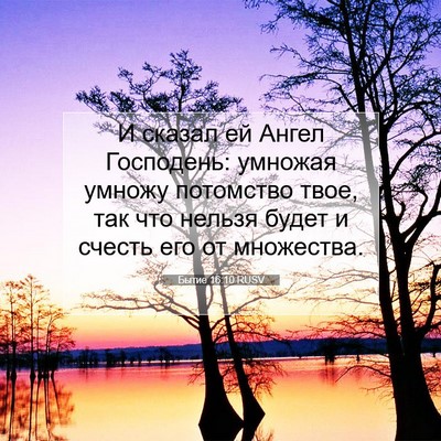 Picture 07 - Бытие 16:10 RUSV - И сказал ей Ангел - Bible Verse Picture