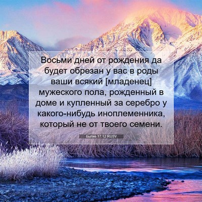 Picture 07 - Бытие 17:12 RUSV - Восьми дней от рождения да - Bible Verse Picture