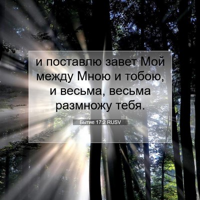 Picture 07 - Бытие 17:2 RUSV - и поставлю завет Мой между - Bible Verse Picture
