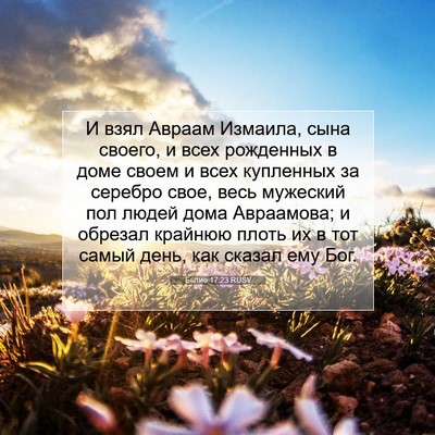 Picture 07 - Бытие 17:23 RUSV - И взял Авраам Измаила, сына - Bible Verse Picture