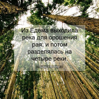 Picture 07 - Бытие 2:10 RUSV - Из Едема выходила река для - Bible Verse Picture