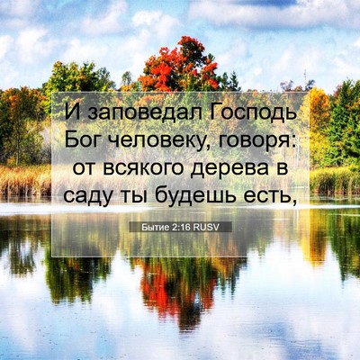 Picture 07 - Бытие 2:16 RUSV - И заповедал Господь Бог - Bible Verse Picture
