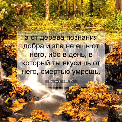 Picture 07 - Бытие 2:17 RUSV - а от дерева познания добра - Bible Verse Picture