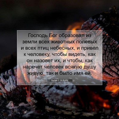 Picture 07 - Бытие 2:19 RUSV - Господь Бог образовал из - Bible Verse Picture