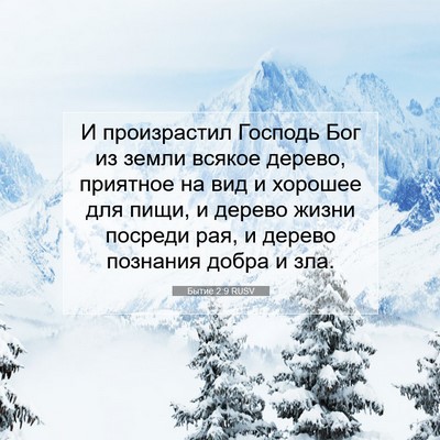 Picture 07 - Бытие 2:9 RUSV - И произрастил Господь Бог - Bible Verse Picture