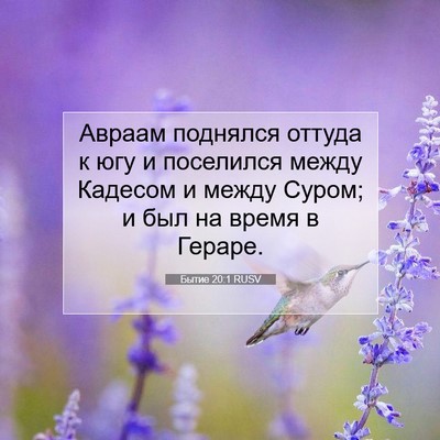 Picture 07 - Бытие 20:1 RUSV - Авраам поднялся оттуда к - Bible Verse Picture