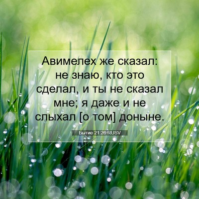 Picture 07 - Бытие 21:26 RUSV - Авимелех же сказал: не - Bible Verse Picture