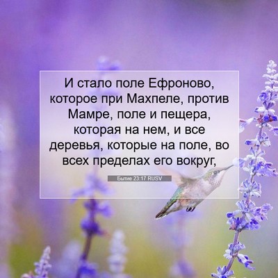 Picture 07 - Бытие 23:17 RUSV - И стало поле Ефроново, - Bible Verse Picture