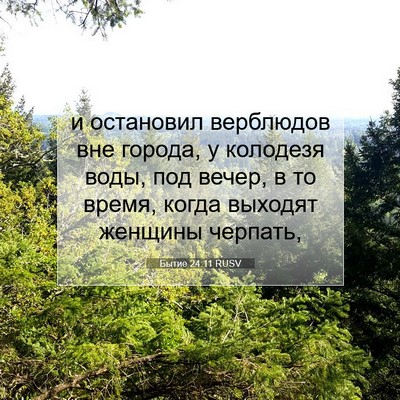 Picture 07 - Бытие 24:11 RUSV - и остановил верблюдов вне - Bible Verse Picture