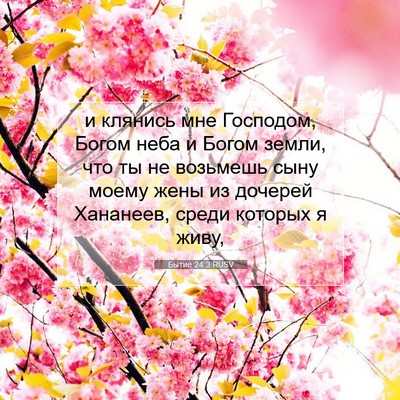 Picture 07 - Бытие 24:3 RUSV - и клянись мне Господом, - Bible Verse Picture