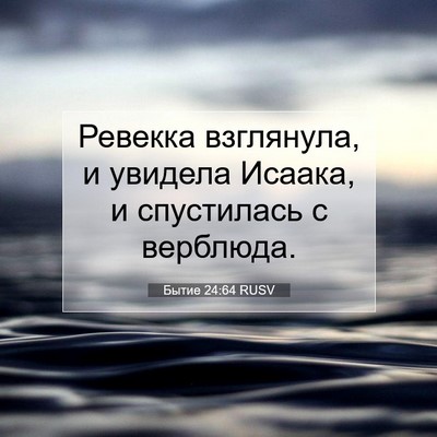 Picture 07 - Бытие 24:64 RUSV - Ревекка взглянула, и - Bible Verse Picture