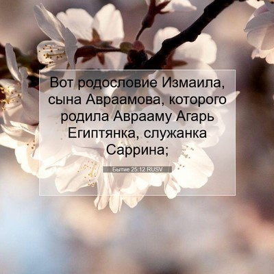 Picture 07 - Бытие 25:12 RUSV - Вот родословие Измаила, - Bible Verse Picture