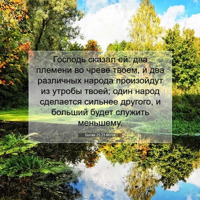 Picture 07 - Бытие 25:23 RUSV - Господь сказал ей: два - Bible Verse Picture