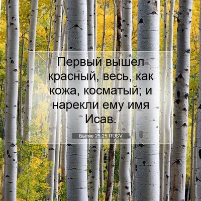 Picture 07 - Бытие 25:25 RUSV - Первый вышел красный, весь, - Bible Verse Picture