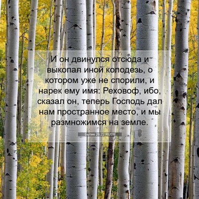 Picture 07 - Бытие 26:22 RUSV - И он двинулся отсюда и - Bible Verse Picture