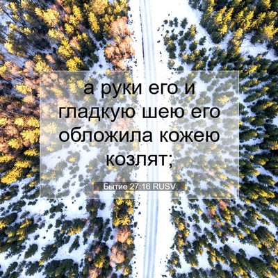 Picture 07 - Бытие 27:16 RUSV - а руки его и гладкую шею - Bible Verse Picture