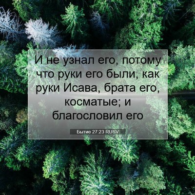 Picture 07 - Бытие 27:23 RUSV - И не узнал его, потому что - Bible Verse Picture