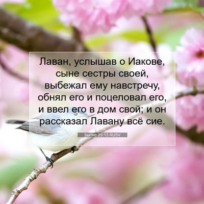 Picture 07 - Бытие 29:13 RUSV - Лаван, услышав о Иакове, - Bible Verse Picture