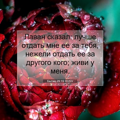 Picture 07 - Бытие 29:19 RUSV - Лаван сказал: лучше отдать - Bible Verse Picture