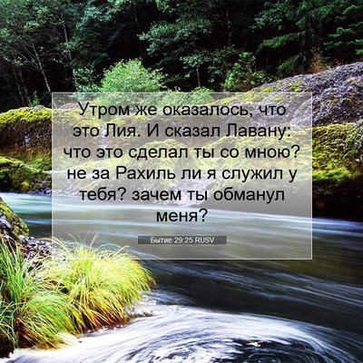 Picture 07 - Бытие 29:25 RUSV - Утром же оказалось, что это - Bible Verse Picture