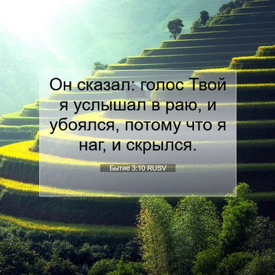 Picture 07 - Бытие 3:10 RUSV - Он сказал: голос Твой я - Bible Verse Picture