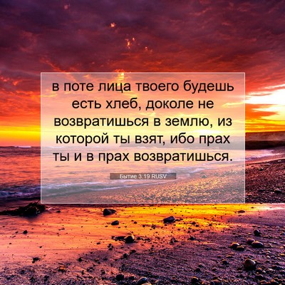 Picture 07 - Бытие 3:19 RUSV - в поте лица твоего будешь - Bible Verse Picture